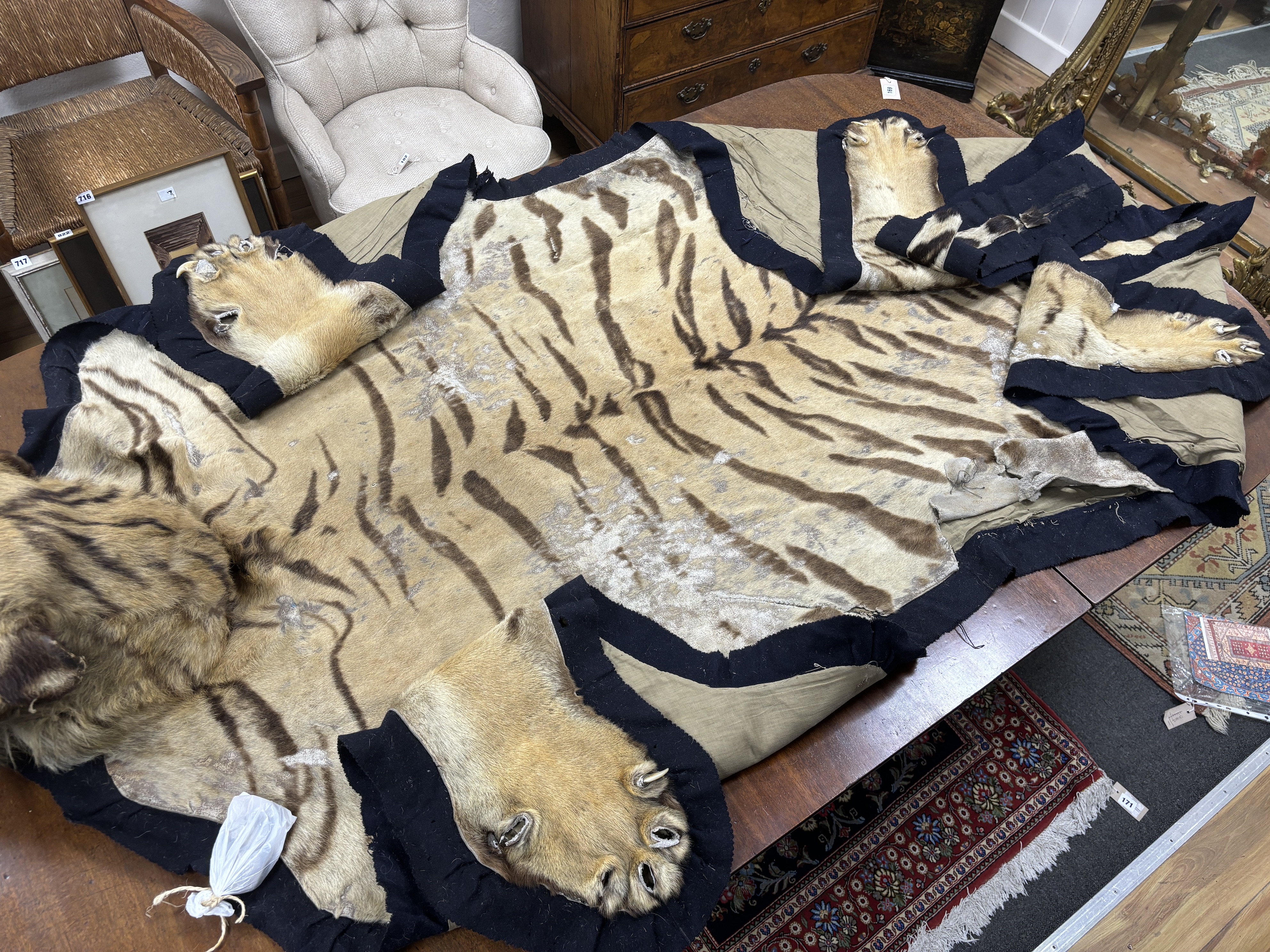 A large early 20th century felt backed tiger skin rug with head, by Van Ingen and Van Ingen, (bears label remnants) length 318cm
